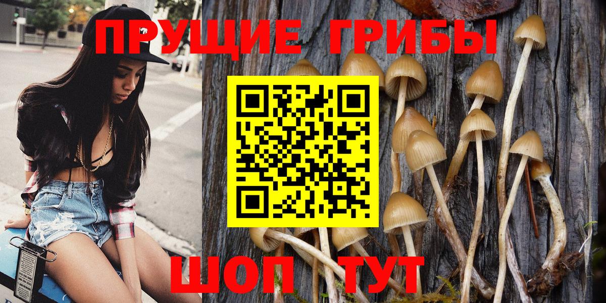 Псилоцибиновые грибы GOLDEN TEACHER Елизово