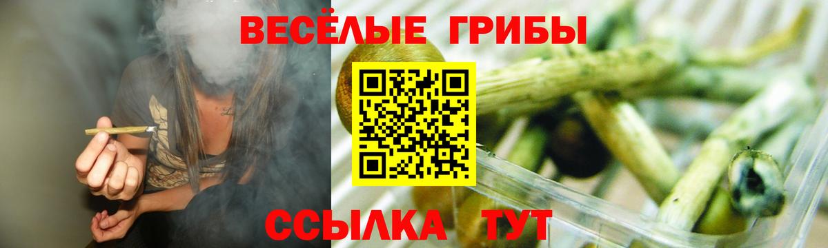 Елизово  Галлюциногенные грибы Cubensis  Вход с VPN 